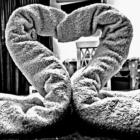 Appartement Da Nenè